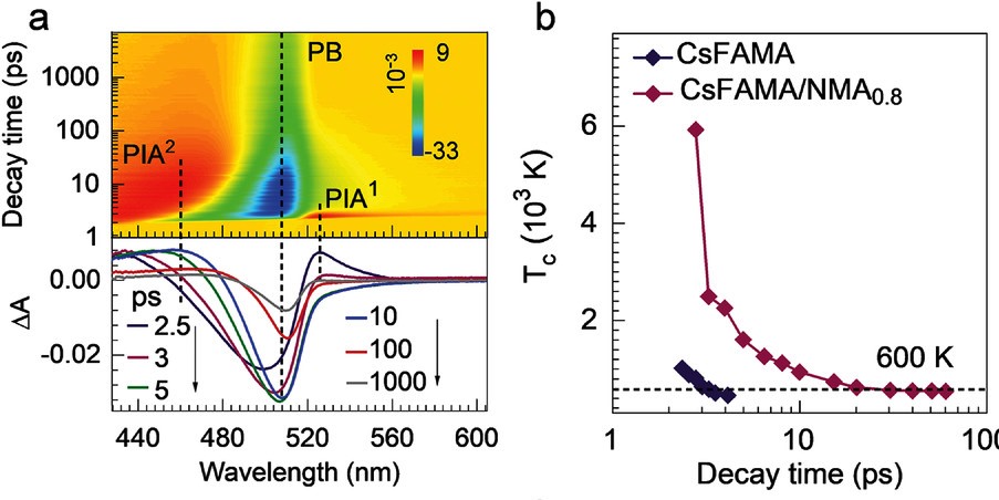 adfm202102210-fig-0004-m.jpg