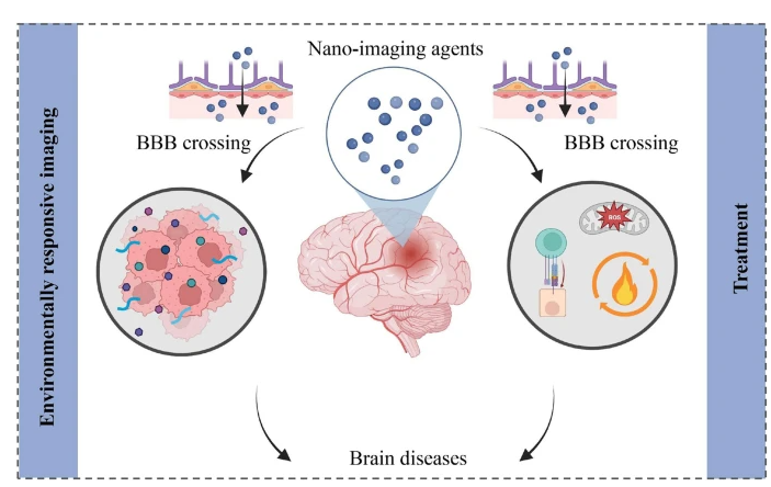 2023-11-27 恭喜梁芙铭同学的文章在Nano Research发表